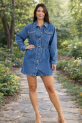 Alara Denim Dress